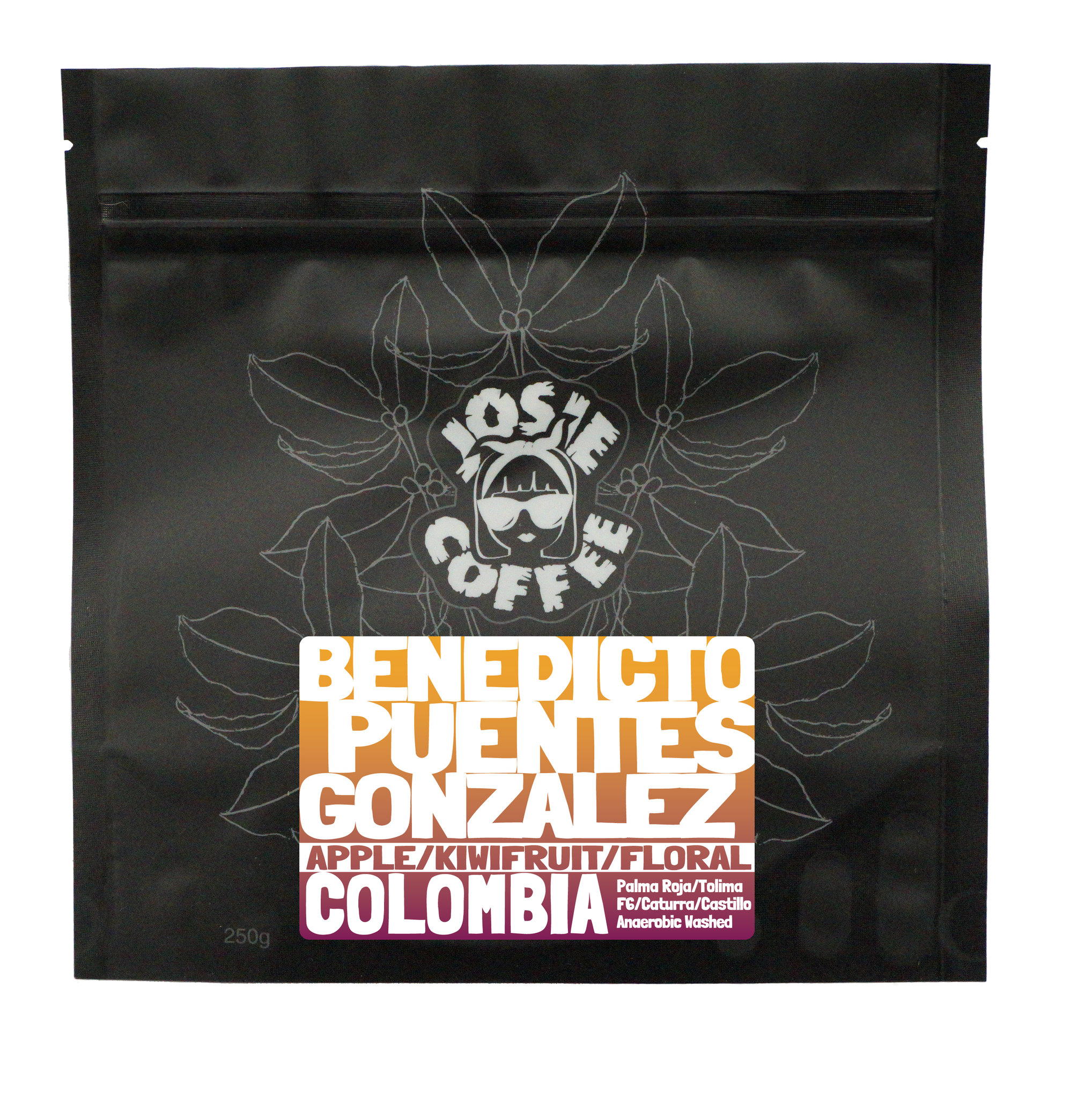 Colombia - Benedicto Peuntes Gonzales - Anaerobic Washed