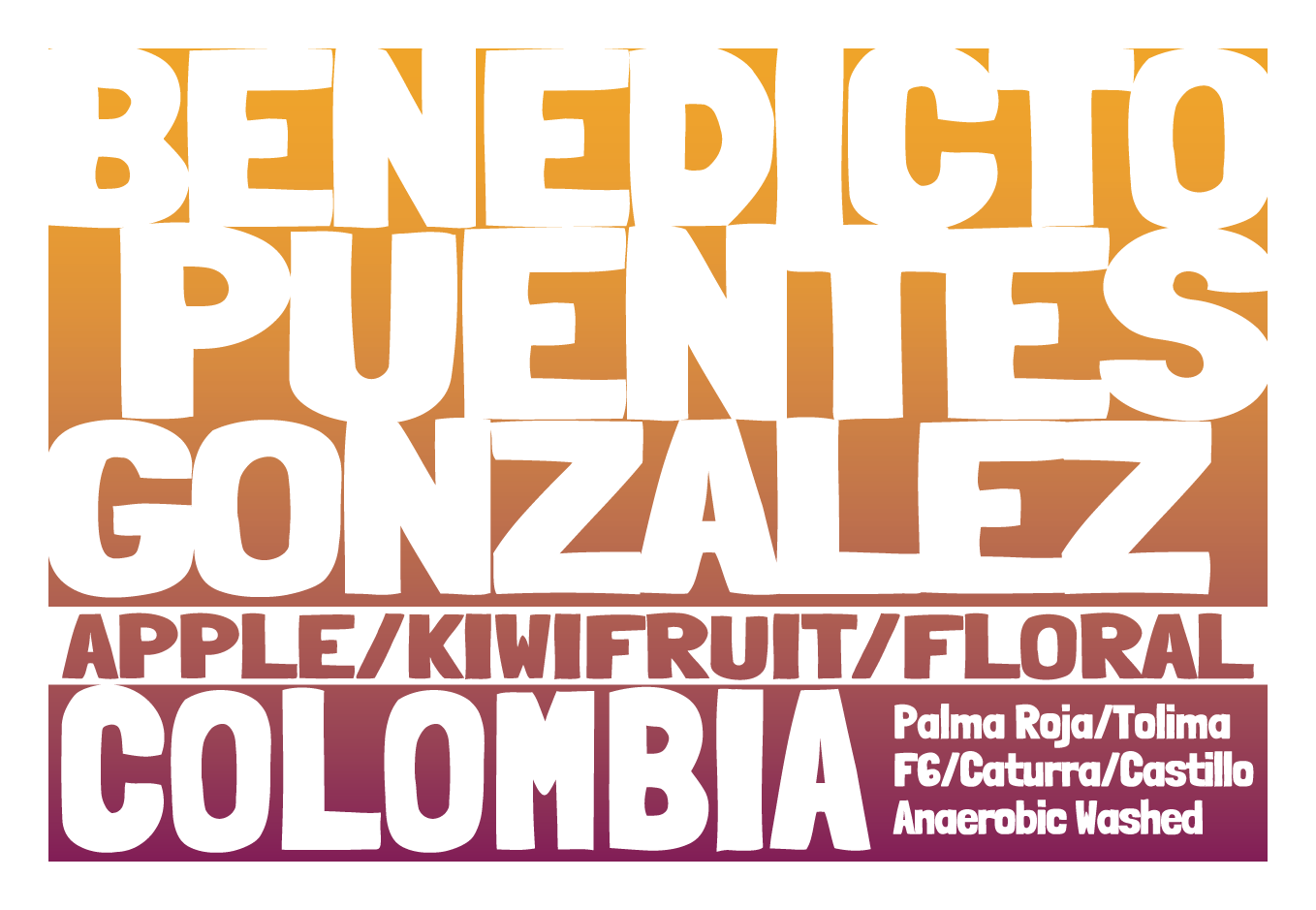 Colombia - Benedicto Peuntes Gonzales - Anaerobic Washed