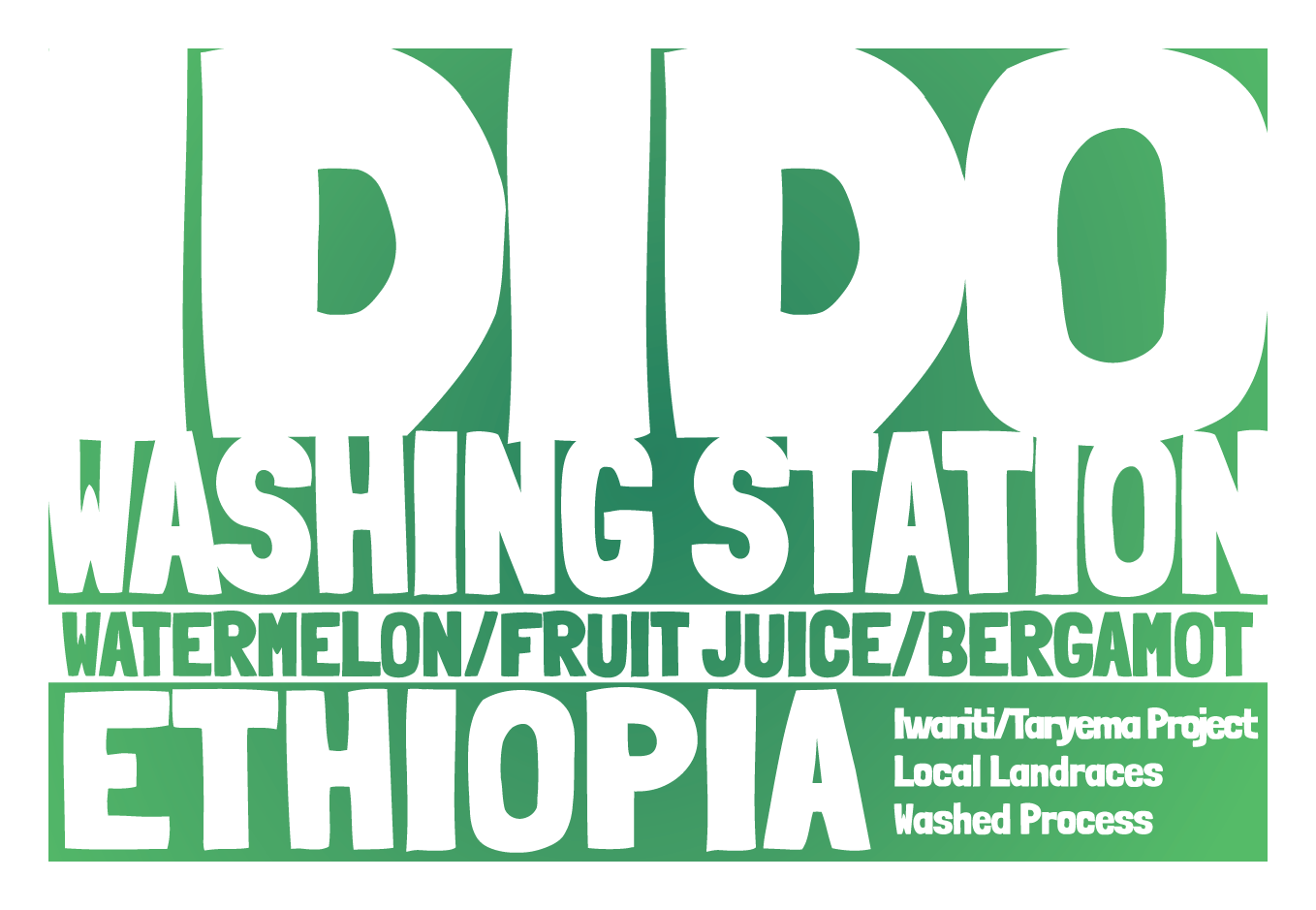 Ethiopia - Idido Washing Station - Washed Process