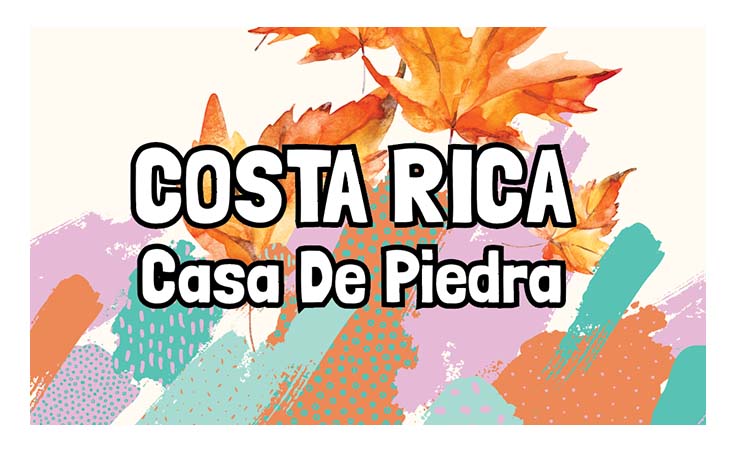 Costa Rica - Casa De Piedra - Natural
