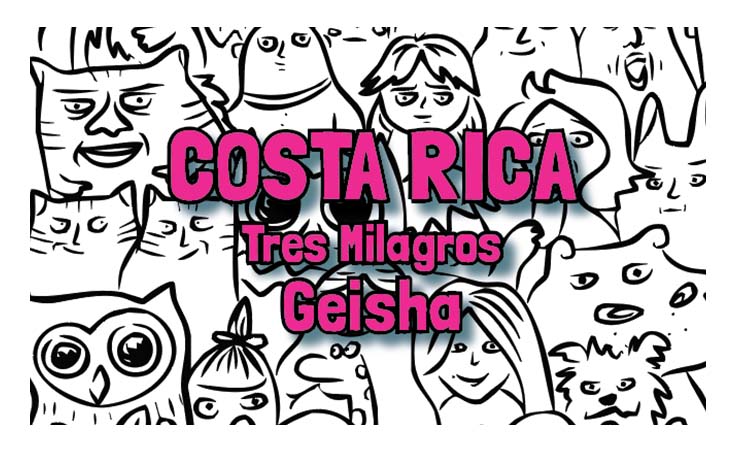 Costa Rica - Tres Milagros - Geisha Mossto Anaerobic