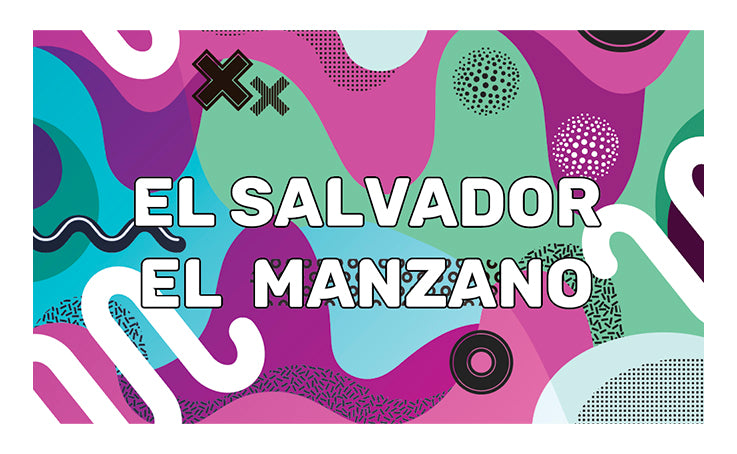El Salvador - El Manzano - SL34 Honey