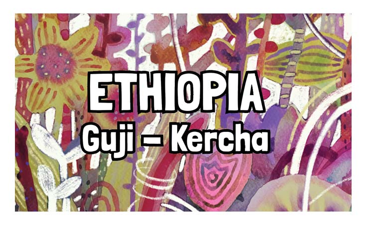 Ethiopia - Guji Kercha - Natural