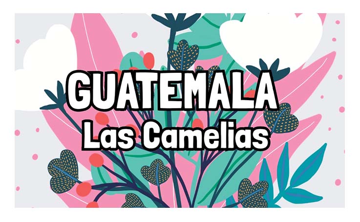 Guatemala - Las Camelias - Washed